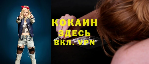 бошки Алексин