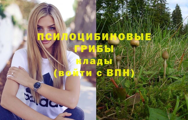 кристаллы Инта