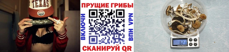 Псилоцибиновые грибы Magic Shrooms  как найти   Евпатория 