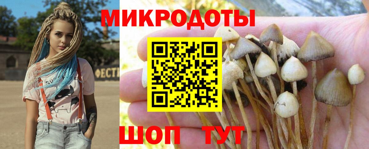 Псилоцибиновые грибы MAGIC MUSHROOMS Евпатория
